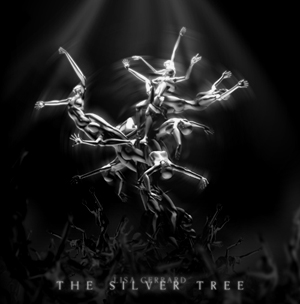 silvertreecover