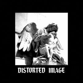 distorted image