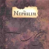 the nephilim