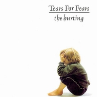tears for fears - hurting